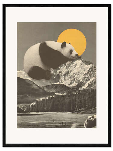 Gerahmter Kunstdruck Pandas Nickerchen am Berg