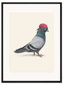 Gerahmter Kunstdruck Piratentaube