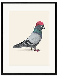 Ingelijste kunstdruk Pirate Pigeon