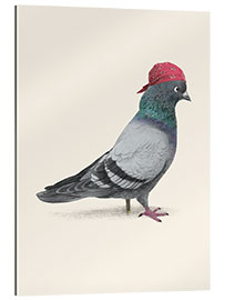 Gallery print Pirate Pigeon