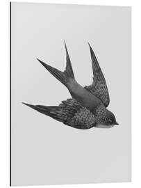 Magnettafel Schwalbe