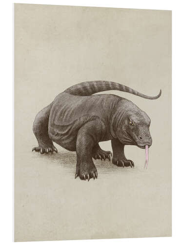 Foam board print Komodo dragon