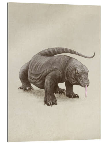 Gallery print Komodo dragon