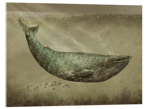 Acrylic print The Damask Whale