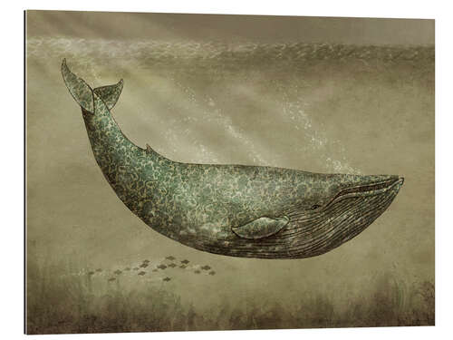 Gallery print The Damask Whale