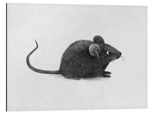 Stampa su alluminio Mono Mouse