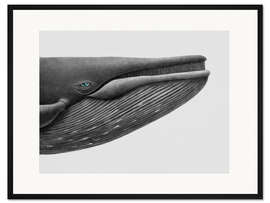 Gerahmter Kunstdruck Walbeobachtung