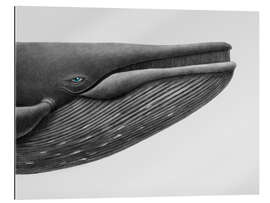 Gallery print Whale Watching