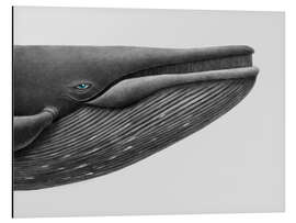 Magnettafel Walbeobachtung