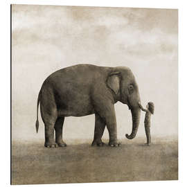 Aluminium print One Amazing Elephant