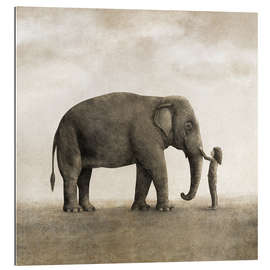 Tableau en plexi-alu One Amazing Elephant