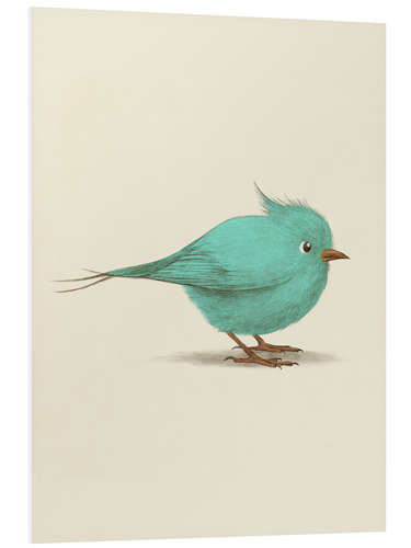 Foam board print Blue Bird