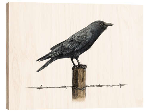 Quadro de madeira Country Crow