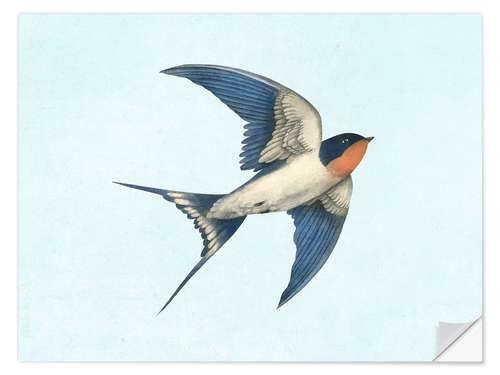 Selvklebende plakat Barn swallow