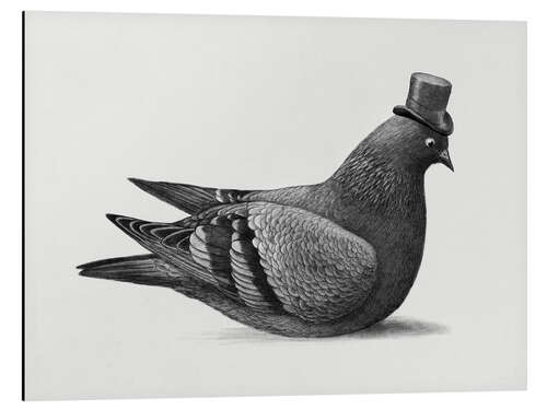 Tableau en aluminium Pigeon pimpant