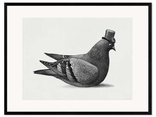 Ingelijste kunstdruk Dapper Pigeon