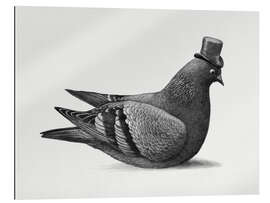 Gallery print Dapper Pigeon