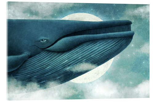 Acrylglas print Dream Of The Blue Whale