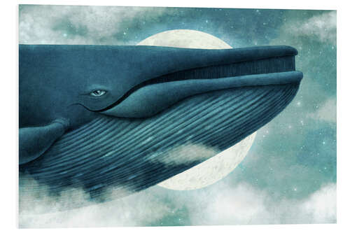 Bilde på skumplate Dream Of The Blue Whale