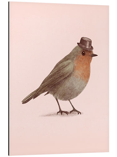 Aluminium print Brave Robin