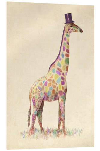 Acrylic print Fashionable Giraffe