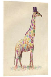 Acrylic print  Fashionable Giraffe - Terry Fan
