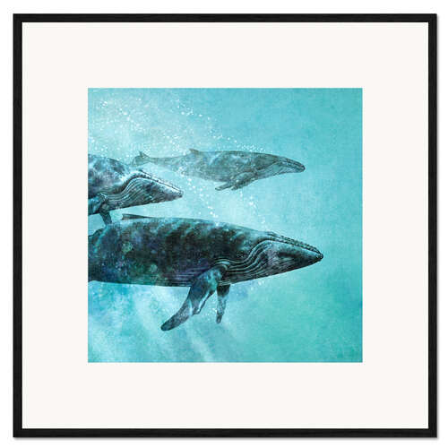 Ingelijste kunstdruk Whales