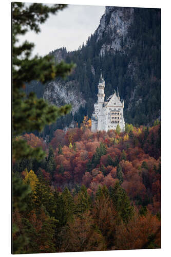 Aluminiumsbilde Neuschwanstein Castle in the forest