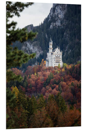 Quadro em PVC Neuschwanstein Castle in the forest