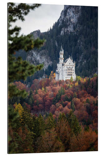 Galleriataulu Neuschwanstein Castle in the forest