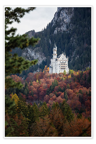 Poster Neuschwanstein Castle in the forest