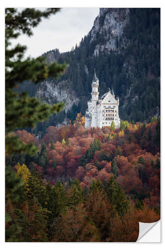 Naklejka na ścianę Neuschwanstein Castle in the forest