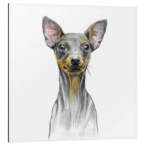 Alubild Miniatur Pinscher Welpe