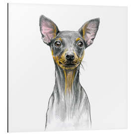 Tableau en aluminium Chiot Pinscher nain