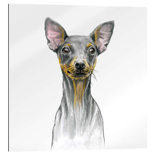 Gallery print Miniature Pinscher Puppy