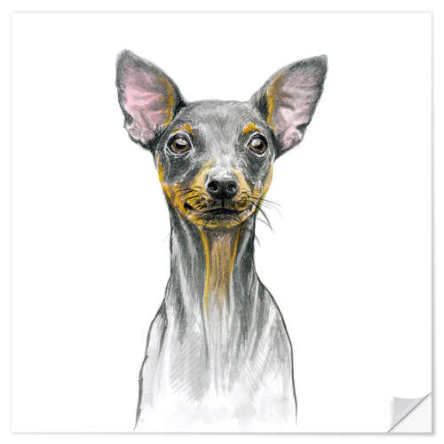 Wandsticker Miniatur Pinscher Welpe