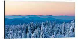 Aluminium print Winter in the Black Forest National Park