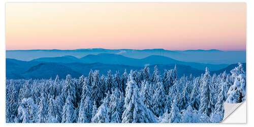 Wall sticker Winter in the Black Forest National Park