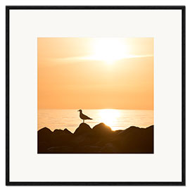 Gerahmter Kunstdruck Möve am Meer und Strand im Sonnenaufgang