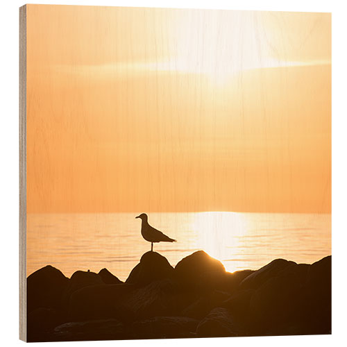 Holzbild Möve am Meer und Strand im Sonnenaufgang