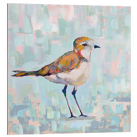 Gallery print Kentish Plover III