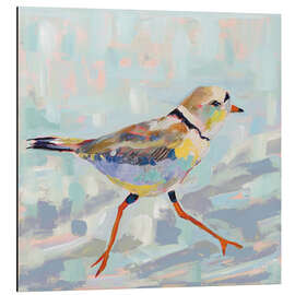 Aluminium print Kentish plover I.