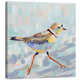 Canvas print Kentish plover I.