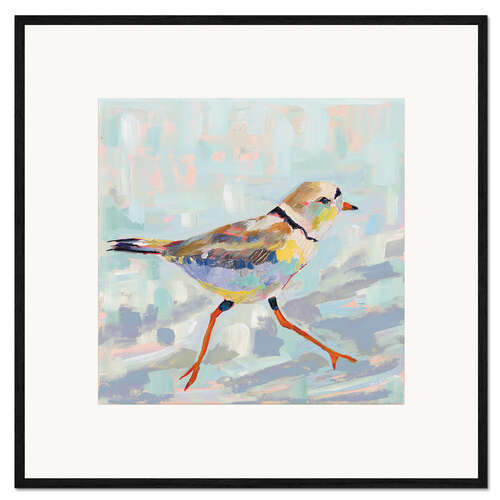 Inramat konsttryck Kentish plover I.