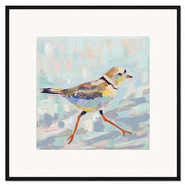 Framed art print Kentish plover I.