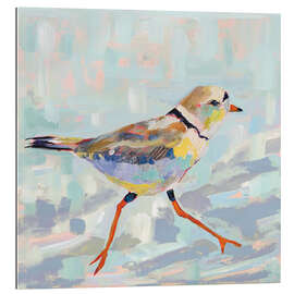 Gallery print Kentish plover I.