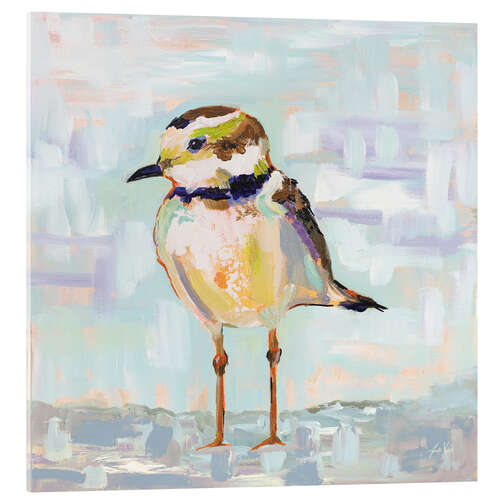 Obraz na szkle akrylowym Kentish Plover II