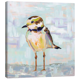 Obraz na płótnie Kentish Plover II - Jeanette Vertentes