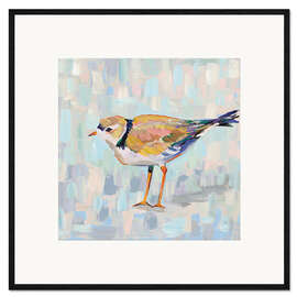 Impression artistique encadrée Kentish Plover IV