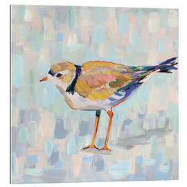 Gallery print Kentish Plover IV